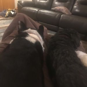 Meet your Posher, Val